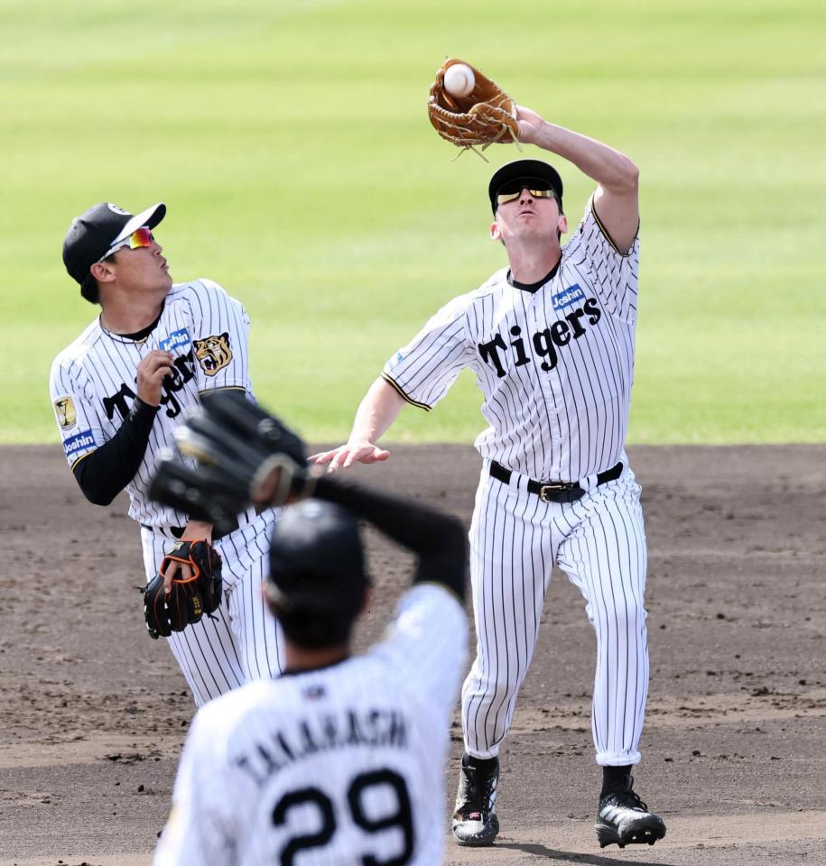 守備練習で声を出して捕球するディベイニー（右）＝撮影・田中太一