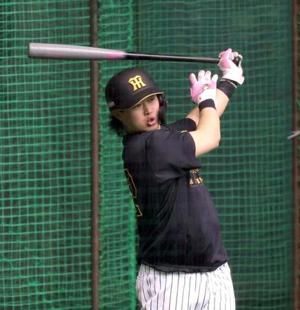 打撃練習する浜田（撮影・山口登）