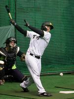 打撃練習する嶋村（撮影・山口登）