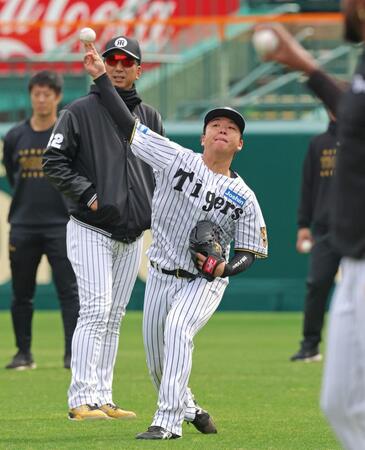 藤川監督（左）が見守る前でキャッチボールをして調整する村上（撮影・立川洋一郎）