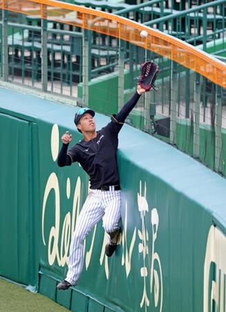 外野フェンス際の打球をつかむ練習をする岡城