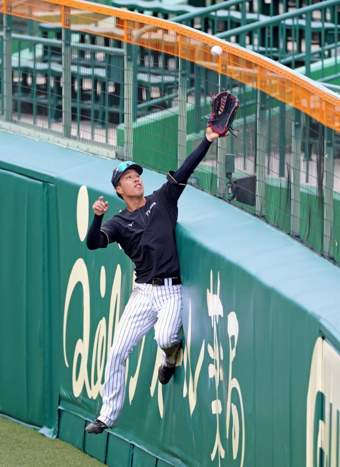 外野フェンス際の打球をつかむ練習をする岡城