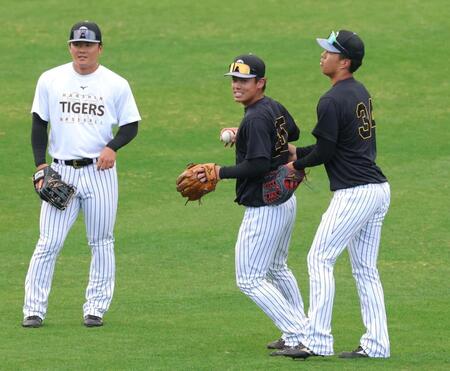 全体練習前に内外野が連係し、フライの捕球を確認する阪神野手陣。左から前川、谷端、岡城（撮影・立川洋一郎）