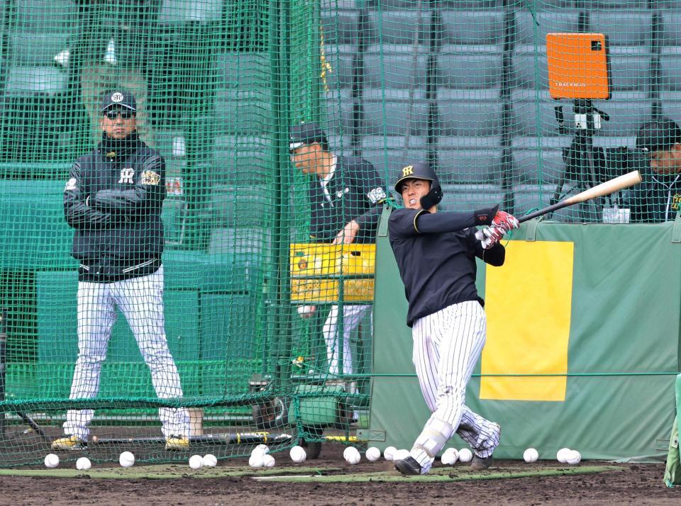 　藤川監督（左）が見つめる前でフリー打撃をする谷端（撮影・立川洋一郎）