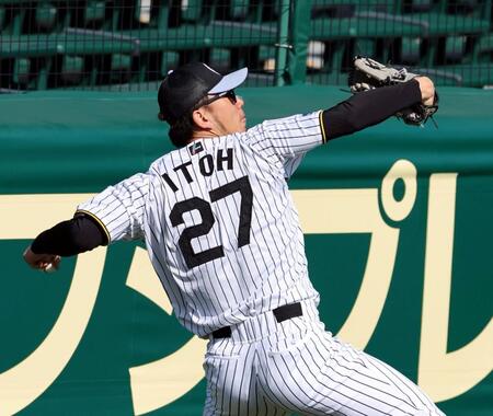 キャッチボールする伊藤将（撮影・山口登）