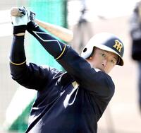 　打撃練習する近本（撮影・山口登）