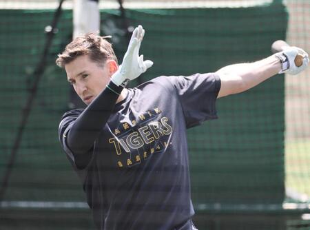 阪神 ディベイニーら4選手のヒッティングマーチ完成、佐藤輝にはファンファーレも