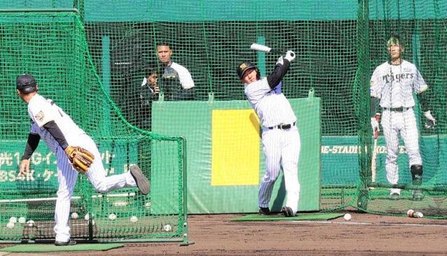 阪神・ドラ１立石　屋外で打撃練習　