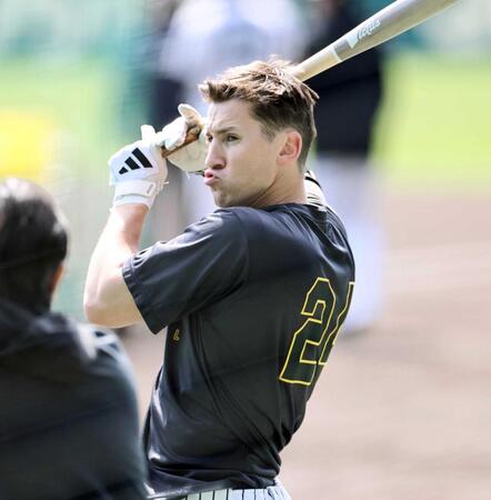 　気合の入った表情でバットを手にするディベイニー（撮影・田中太一）