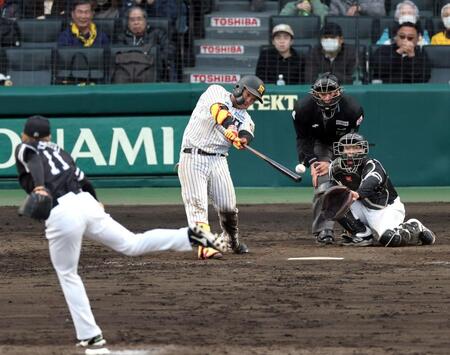 ８回、中前打を放つ嶋村（撮影・山口登）