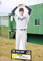 　球場に設置された等身大パネル