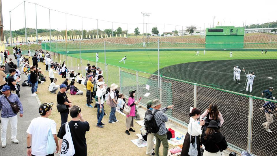 　４年目となり、ファンにもすっかり定着した具志川キャンプ