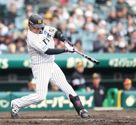 先制の適時二塁打を放つ大山（撮影・西田忠信）