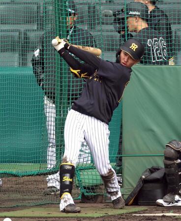 打撃練習する山崎（撮影・山口登）