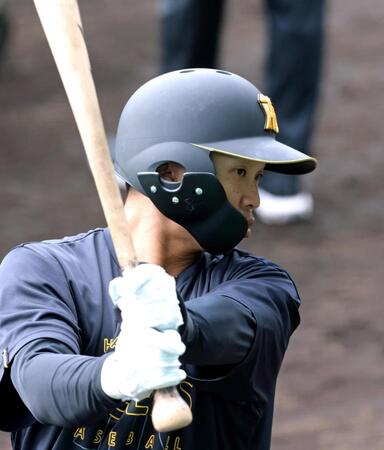 ティー打撃をする島田（撮影・立川洋一郎）