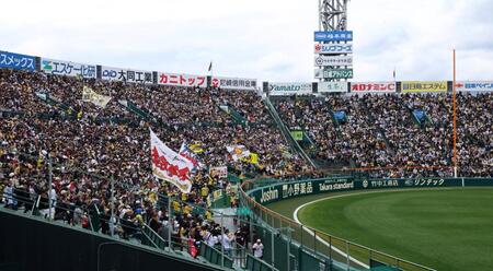 声援を送る阪神ファン（撮影・山口登）
