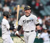 ６回、三振に倒れたディベイニー（撮影・西田忠信）