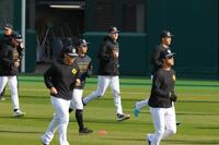 ２軍練習に合流した阪神・ディベイニー＝ＳＧＬ（撮影・立川洋一郎）