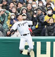 ４回、井上の打球を好捕する高寺（撮影・田中太一）