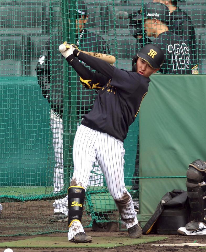 打撃練習する山崎（撮影・山口登）