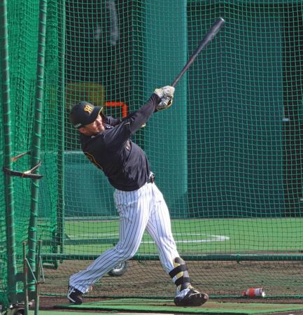 フリー打撃で打ち込む立石（撮影・立川洋一郎）