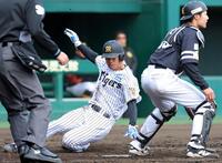 生還する岡城（撮影・立川洋一郎）