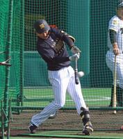 フリー打撃で打ち込む立石（撮影・立川洋一郎）