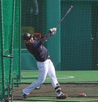 フリー打撃で打ち込む立石（撮影・立川洋一郎）