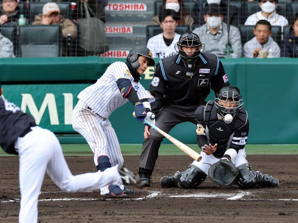 ６回、左前打を放つ木浪（捕手　谷川原）＝撮影・山口登