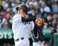 　８回、安打を放つ岡城（撮影・田中太一）