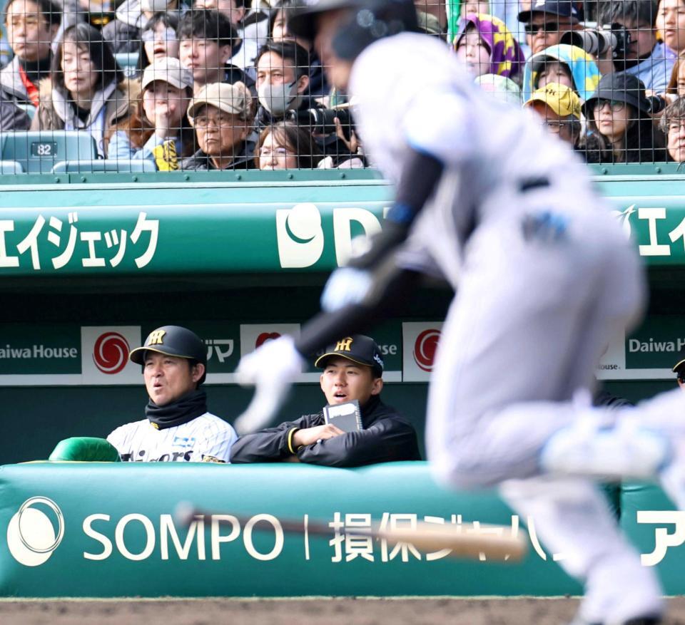 　メモ帳を手に試合を見る立石（中央）＝撮影・田中太一