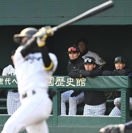 ９回、最後の打者となった山田（手前）の二ゴロを見つめる立石（右から２人目）＝撮影・高部洋祐