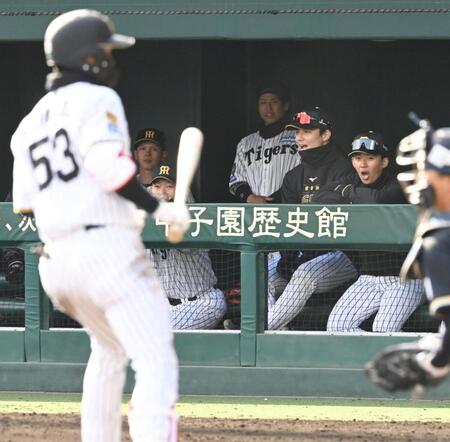 ９回、四球を選び逆転への望みを繫いだ島田（手前）に声を上げる立石（ベンチ右端）＝撮影・高部洋祐