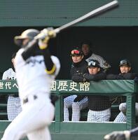 ９回、最後の打者となった山田（手前）の二ゴロを見つめる立石（右から２人目）＝撮影・高部洋祐