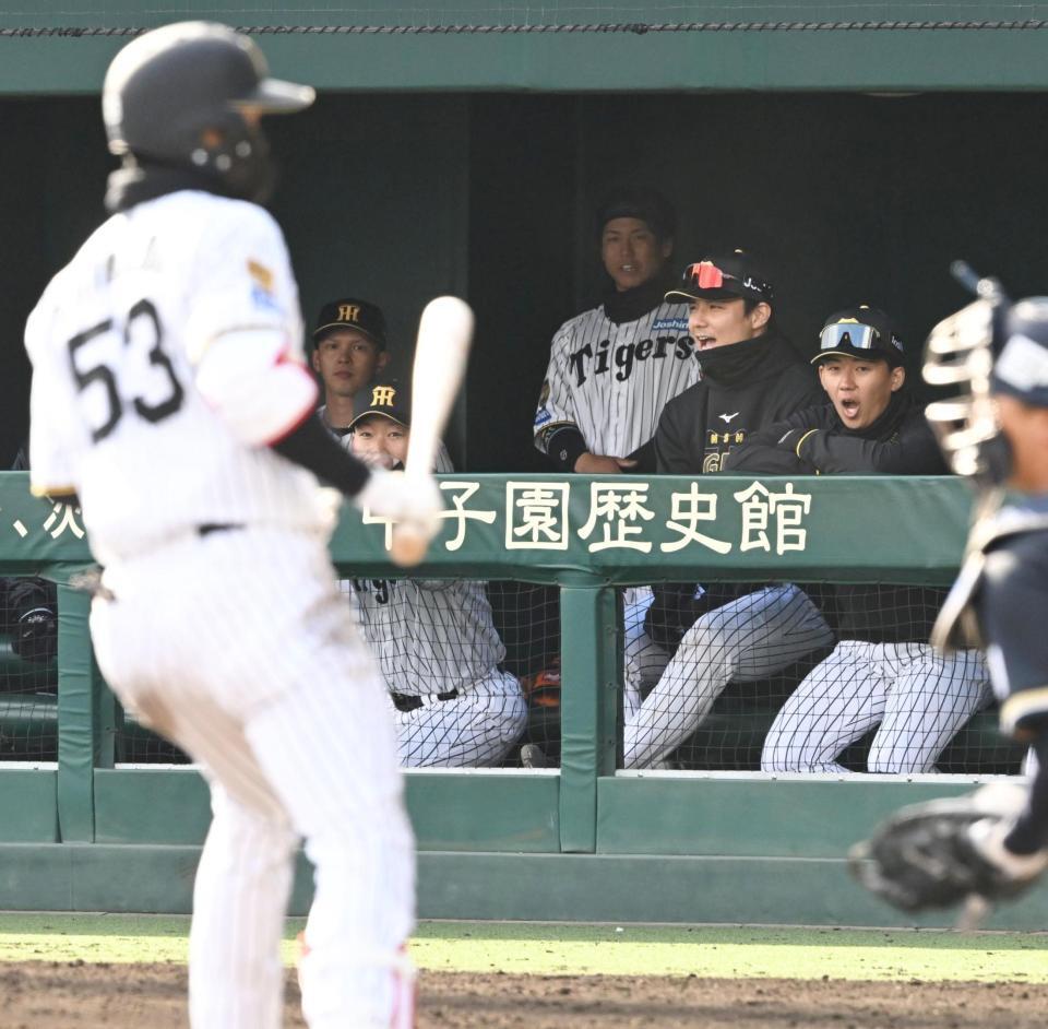 ９回、四球を選び逆転への望みを繫いだ島田（手前）に声を上げる立石（ベンチ右端）＝撮影・高部洋祐