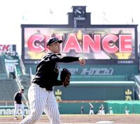 キャッチボールをする嶋村（撮影・田中太一）