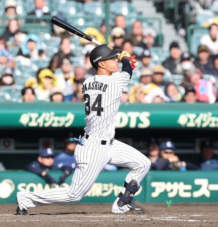 ２点三塁打を放つ岡城（撮影・西田忠信）