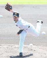 力投する阪神・伊藤将司＝ＳＧＬ（撮影・高部洋祐）