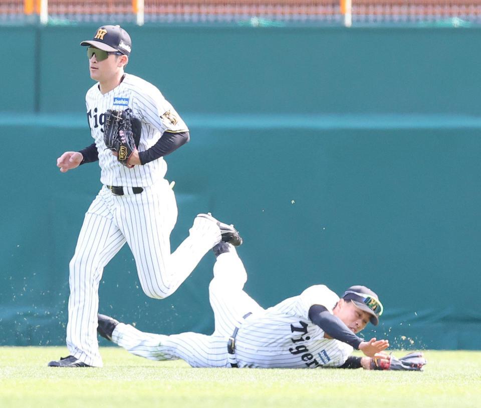 打球を好捕する阪神・岡城快生（右）＝撮影・西田忠信