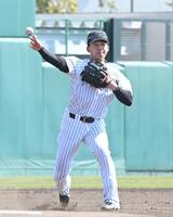 試合前のシートノックで一塁に送球する立石（撮影・高部洋祐）