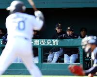 ベンチ入りし、試合を見る立石（中央右）＝撮影・山口登