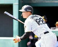 　１回、適時打を放つ嶋村（撮影・高部洋祐）