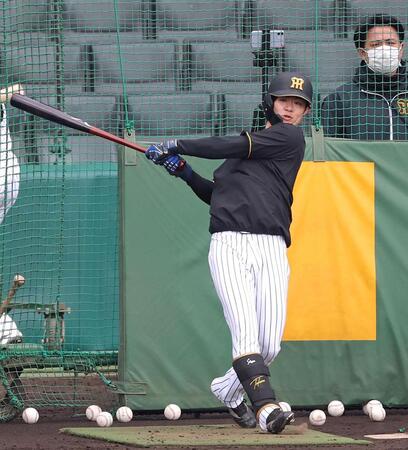 フリー打撃で打ち込む中野（撮影・立川洋一郎）