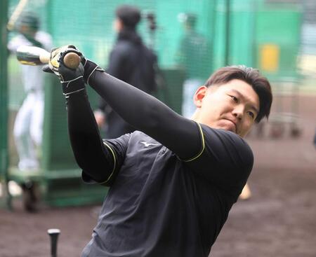 打撃練習でバットを振り込む嶋村（撮影・山口登）