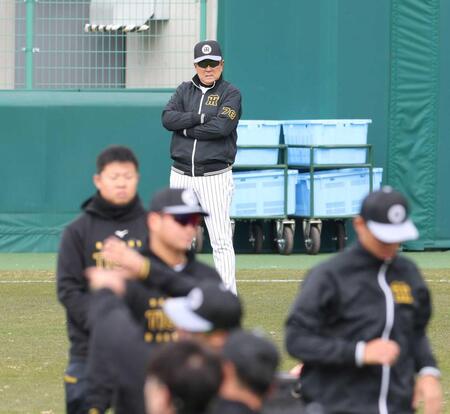 　ナインのアップを見つめる平田２軍監督（撮影・中田匡峻）