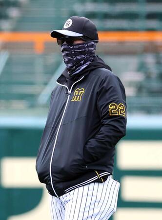 練習を見る藤川監督（撮影・山口登）