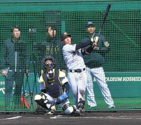 シート打撃の３打席目で左翼へ大飛球を放つ立石（撮影・出月俊成）