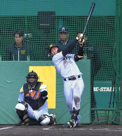 ライブＢＰで中越え弾を放つ立石（撮影・出月俊成）