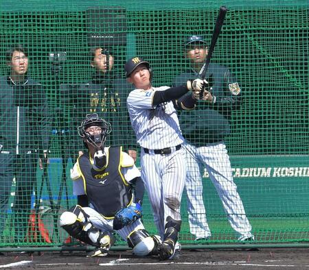 シート打撃の３打席目で左翼へ大飛球を放つ立石（撮影・出月俊成）