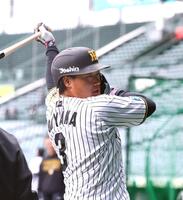 打撃練習でバットを振り込む大山（撮影・山口登）